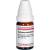 CALAMUS AROMATICUS D 30 Globuli