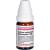 CALCIUM CARBONICUM Hahnemanni C 100 Globuli