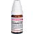 CALCIUM CARBONICUM Hahnemanni C 1000 Globuli
