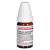 CALCIUM CARBONICUM Hahnemanni C 15 Glob.Ind.Fert.