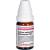 CALCIUM CARBONICUM Hahnemanni C 30 Globuli