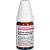 CALCIUM CARBONICUM Hahnemanni D 100 Globuli