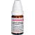 CALCIUM CARBONICUM Hahnemanni D 1000 Globuli