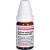 CALCIUM CARBONICUM Hahnemanni D 60 Globuli