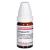 CAMPHORA C 12 Globuli Ind.Fert.