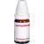 CAPSICUM D 6 Dilution