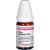 CARBO VEGETABILIS D 10 Globuli