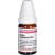 CARBO VEGETABILIS D 12 Globuli