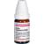 CARBO VEGETABILIS D 200 Globuli
