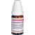 CARDIOSPERMUM C 200 Globuli