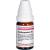 CARDIOSPERMUM D 2 Globuli