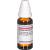 CARDUUS MARIANUS D 2 Dilution