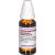 CAULOPHYLLUM THALICTROIDES D 4 Dilution