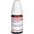CEDRON C 12 Globuli Ind.Fert.