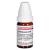 CHELIDONIUM C 10 Globuli Ind.Fert.