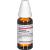 COLLINSONIA CANADENSIS D 12 Dilution