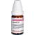 CONIUM C 12 Globuli