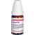 CONIUM C 30 Globuli