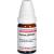 CONIUM LM XXIV Globuli Ind.Fert.