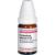 CORIANDRUM SATIVUM D 20 Globuli Ind.Fert. CORIANDRUM SATIVUM D 20 Globuli Ind.Fert.