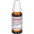 CURCUMA LONGA D 4 Dilution