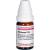 ECHINACEA HAB D 10 Globuli