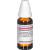 EQUISETUM ARVENSE D 1 Dilution