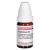 EUPHORBIUM C 4 Globuli Ind.Fert.
