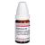 EUPHORBIUM C 6 Globuli Ind.Fert.