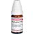 EUPHORBIUM D 10 Globuli Ind.Fert.