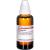 GRAPHITES D 10 Dilution