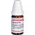 GUAIACUM C 30 Globuli