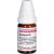 GUAIACUM C 6 Globuli