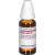 HEDERA HELIX D 6 Dilution