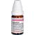 HISTAMINUM hydrochloricum D 6 Globuli