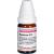 HYPERICUM C 12 Globuli