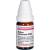 KALIUM CARBONICUM D 200 Globuli