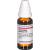 LACHNANTHES tinctoria D 12 Dilution