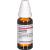 LACHNANTHES tinctoria D 6 Dilution