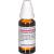 LATRODECTUS mactans D 8 Dilution