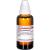 LYCOPUS VIRGINICUS D 12 Dilution