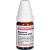 MAGNESIUM CARBONICUM D 200 Globuli