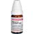 MAGNESIUM CHLORATUM C 1000 Globuli Ind.Fert.