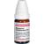 MAGNESIUM PHOSPHORICUM D 10 Globuli