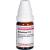 MILLEFOLIUM D 12 Globuli