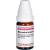 MOMORDICA BALSAMINA D 4 Globuli