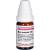 NUX MOSCHATA C 30 Globuli