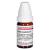 NUX MOSCHATA C 7 Globuli Ind.Fert.