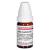 NUX MOSCHATA C 9 Globuli Ind.Fert.