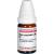 NUX MOSCHATA LM III Globuli Ind.Fert.
